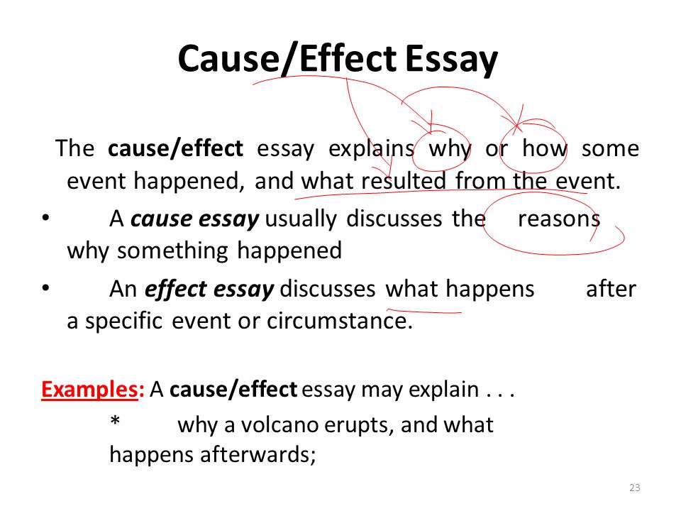 Cause and effect essay videos